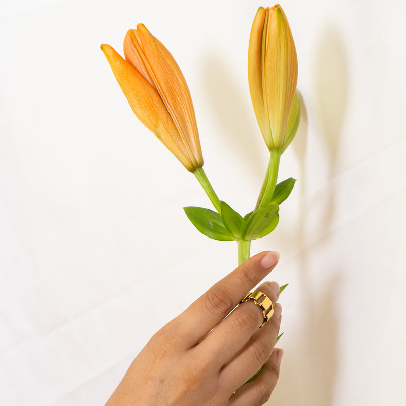 Luminoso Necklace & Ring Set